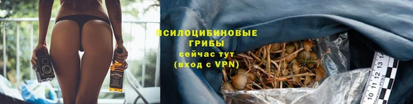 стаф Ахтубинск