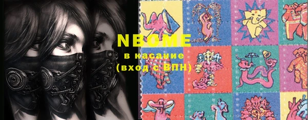 шишки Аша
