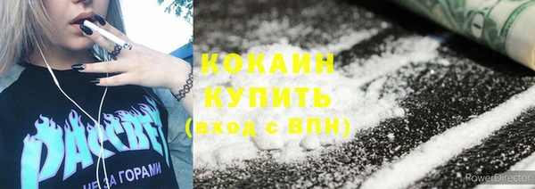 шишки Аша