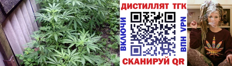 блэк спрут ТОР  Советск  ТГК концентрат 